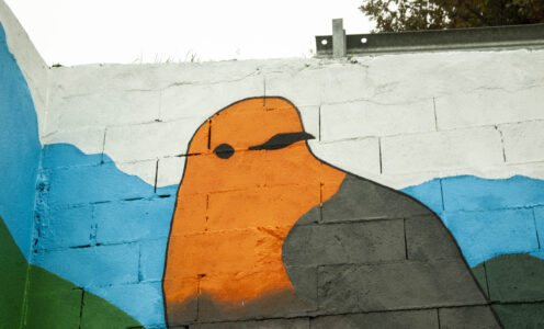 As pandereteiras – Ribeira Sacra. Moreda